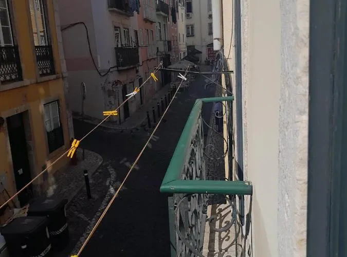 Chiado / Carmo Small Artist